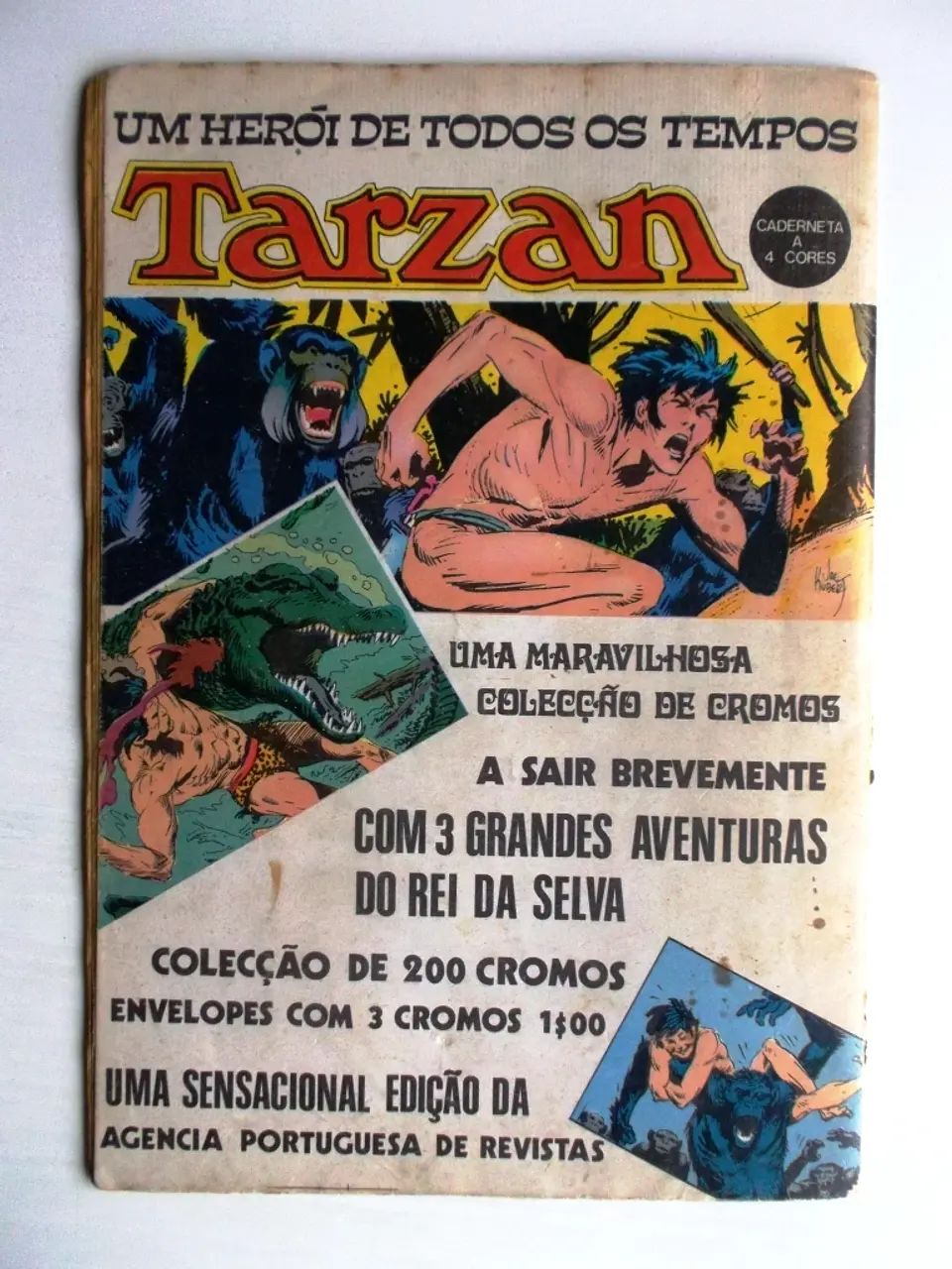 Bonanza 34 3