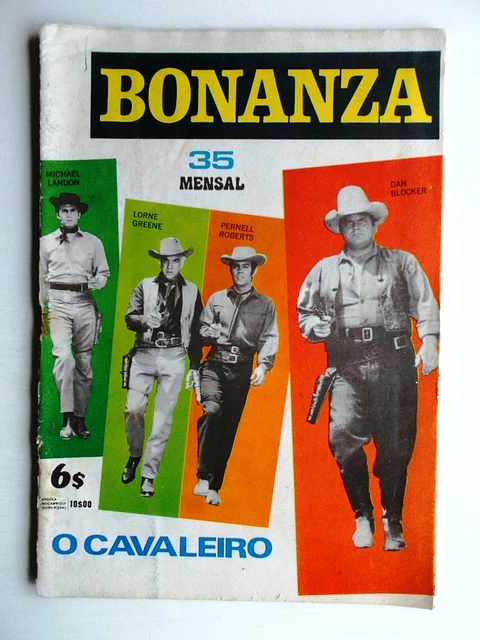 Bonanza 35