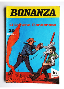 Bonanza 39