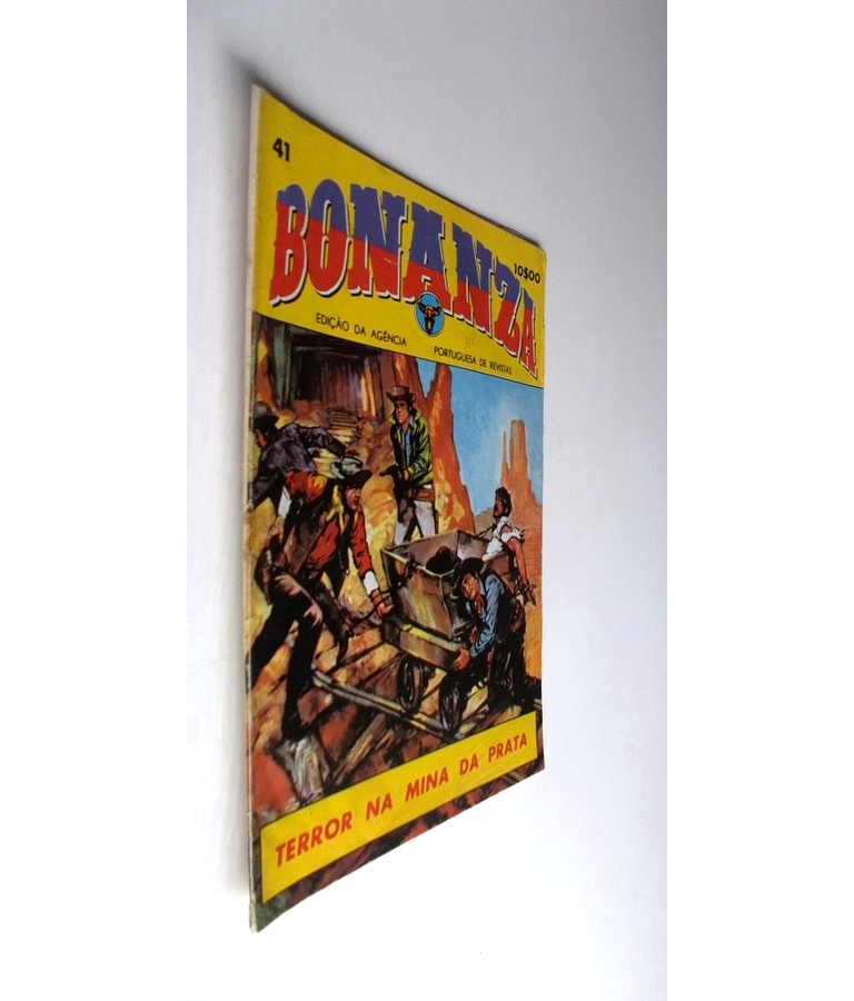 Bonanza 41