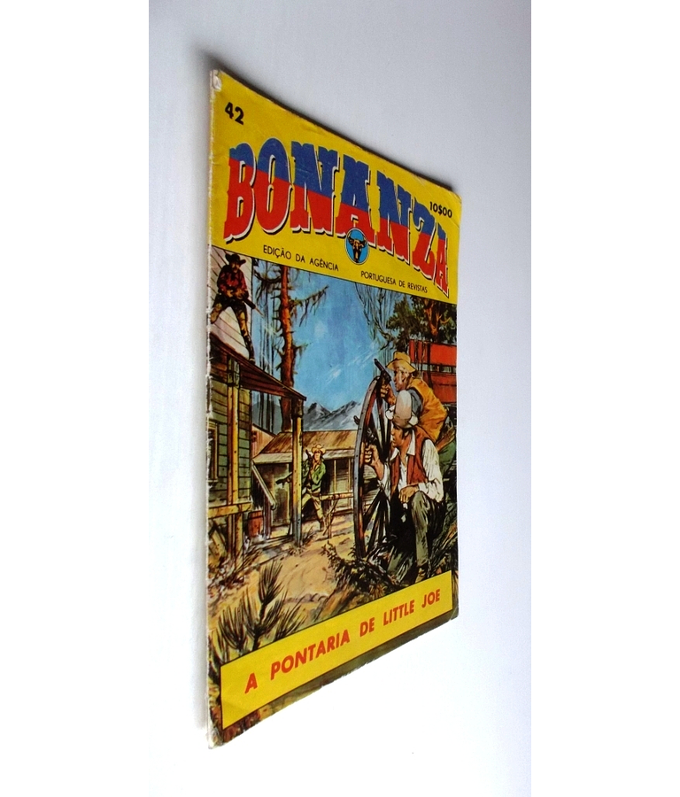 Bonanza 42