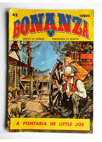 Bonanza 42