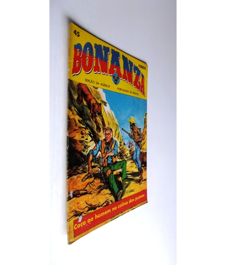 Bonanza 45