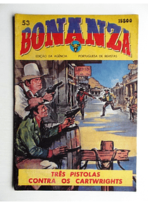 Bonanza 53