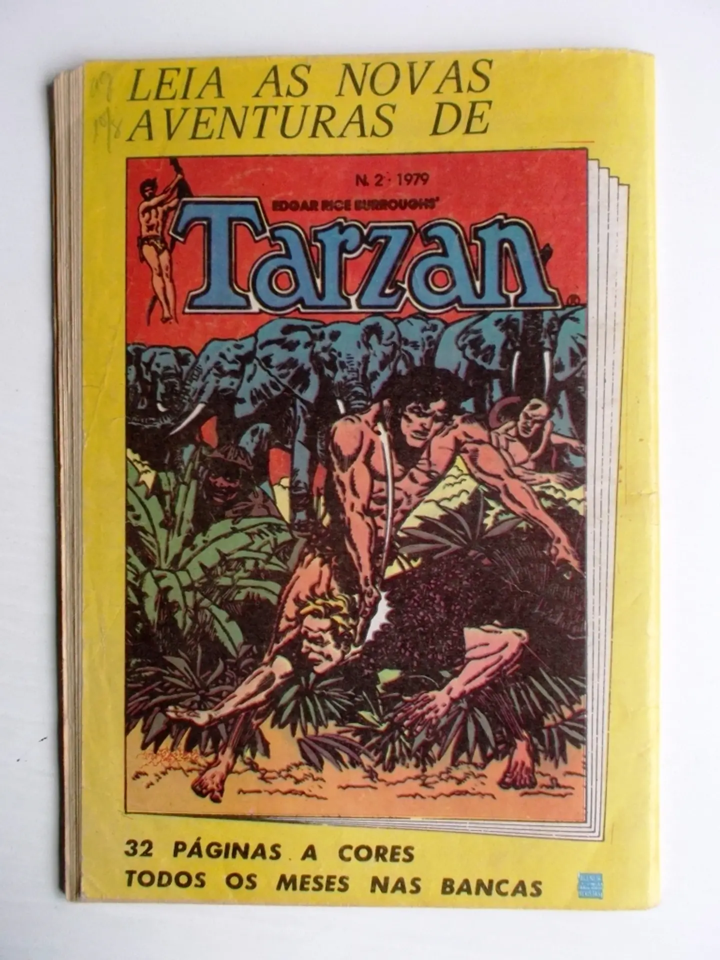 Sargento Tigre 22 3