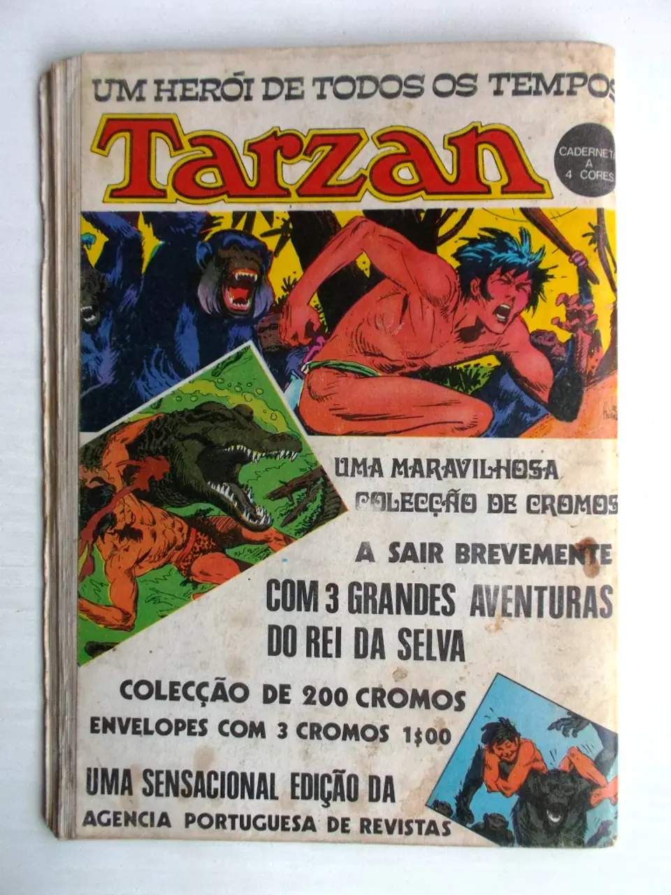 Guerra 157 3