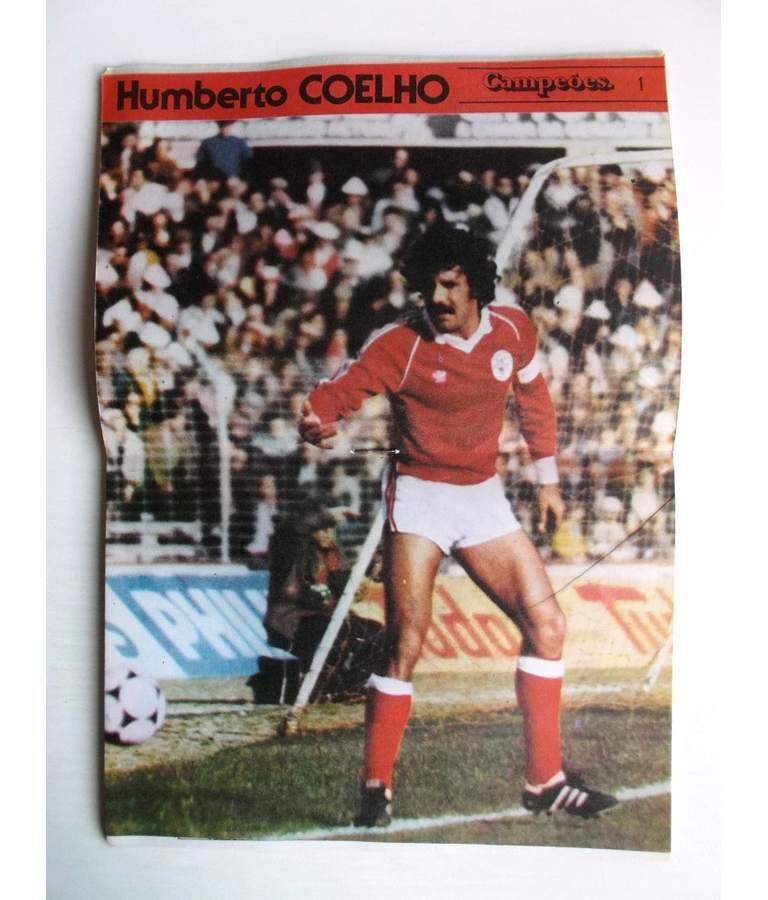 Guerra 290 - Com destacavel