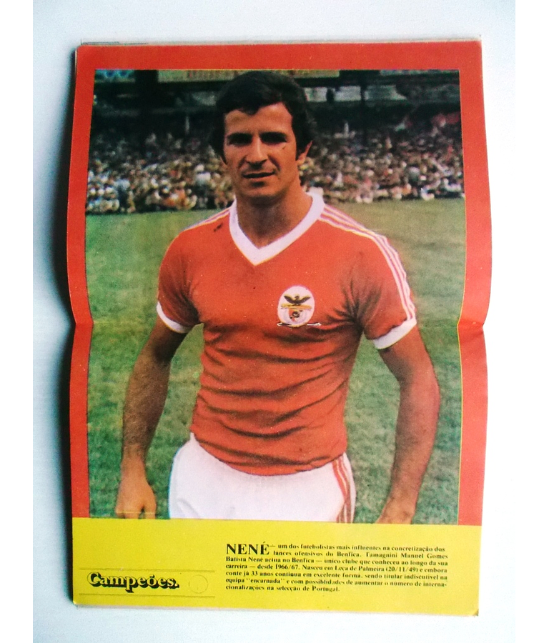 Guerra 307 - Com destacável