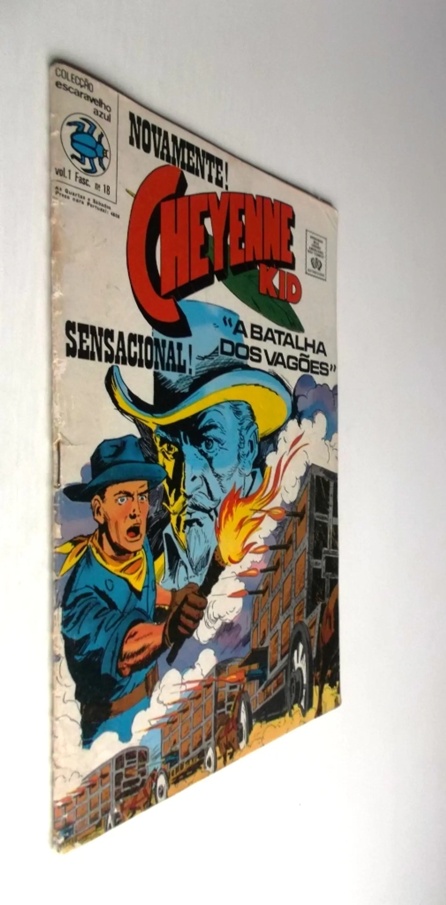 Escaravelho Azul 18 2