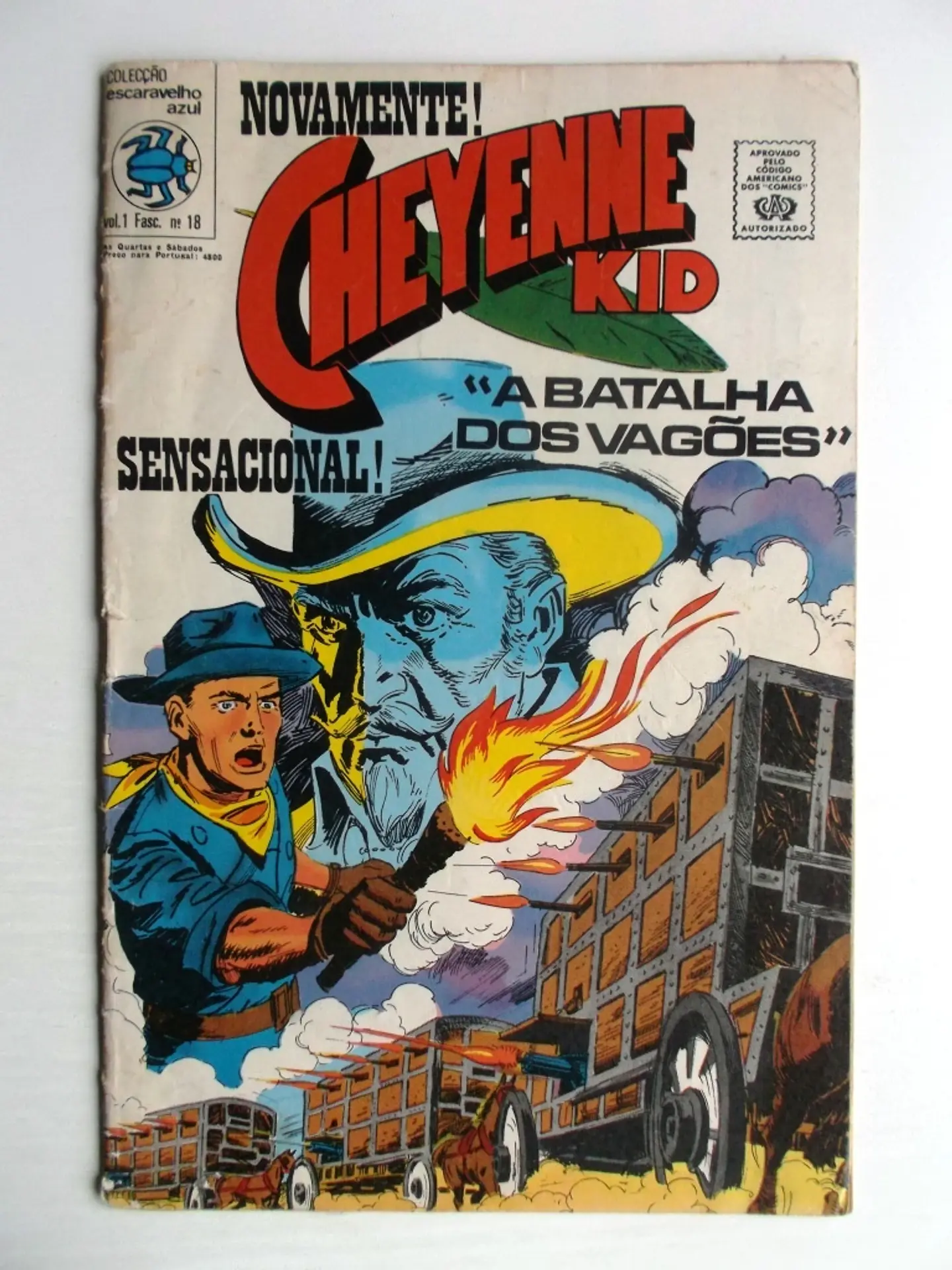 Escaravelho Azul 18 1