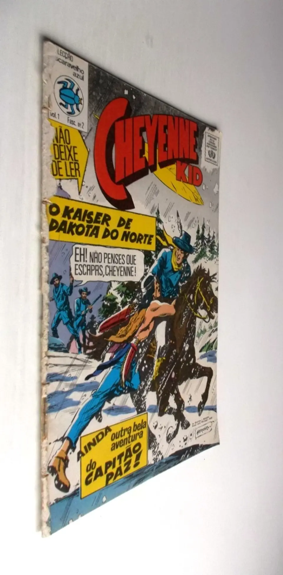Escaravelho Azul 02 2