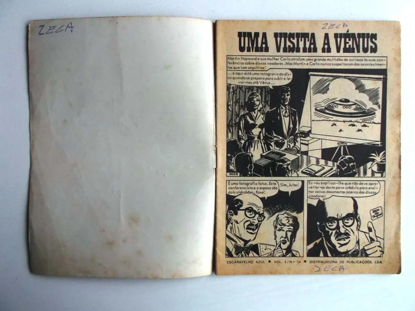 Escaravelho Azul 14 3