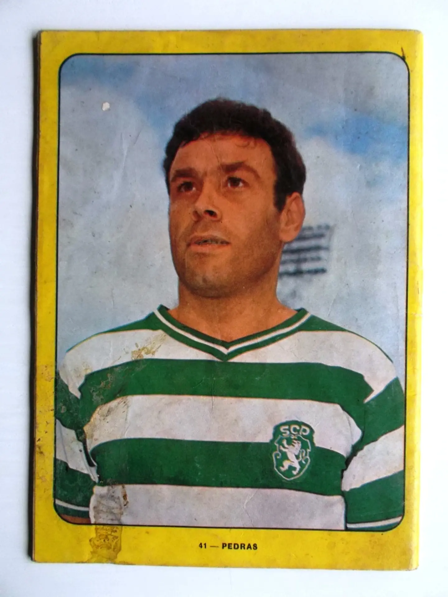 Escaravelho Azul 41 3