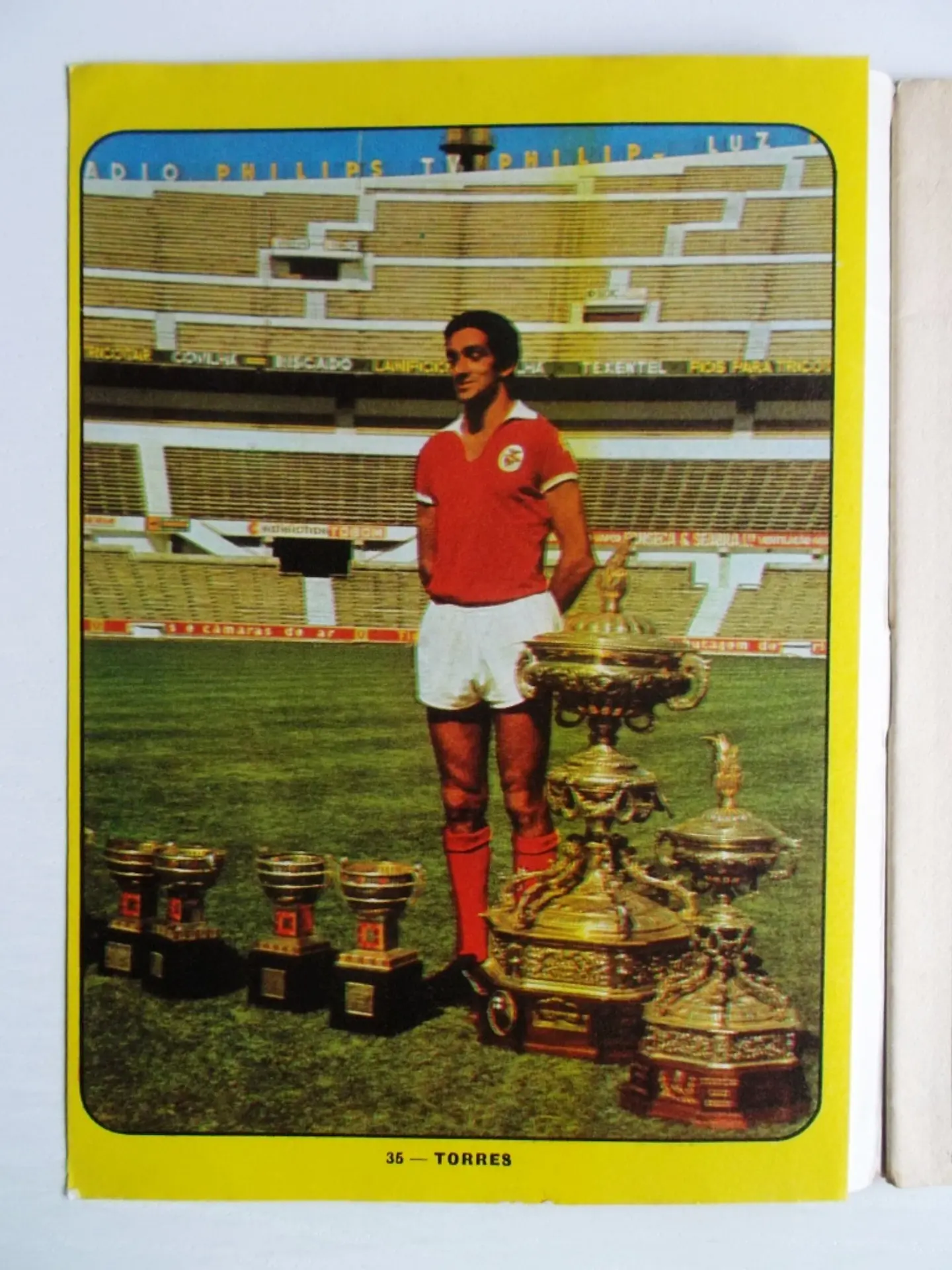 Escaravelho Azul 35 3