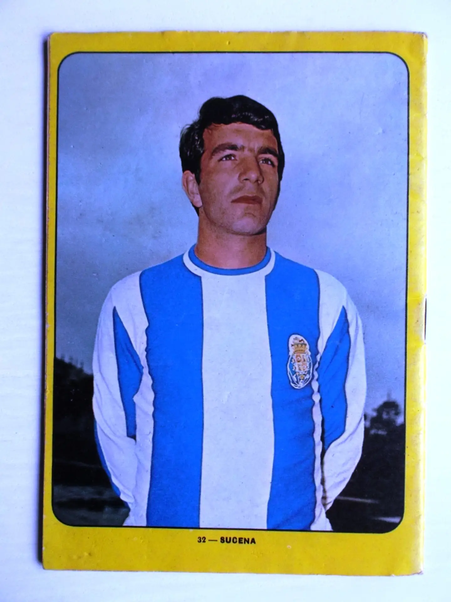 Escaravelho Azul 32 3