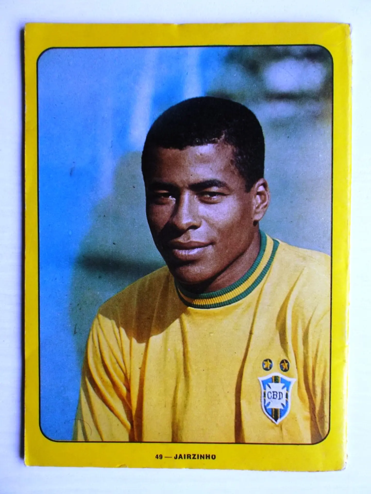 Escaravelho Azul 49 3