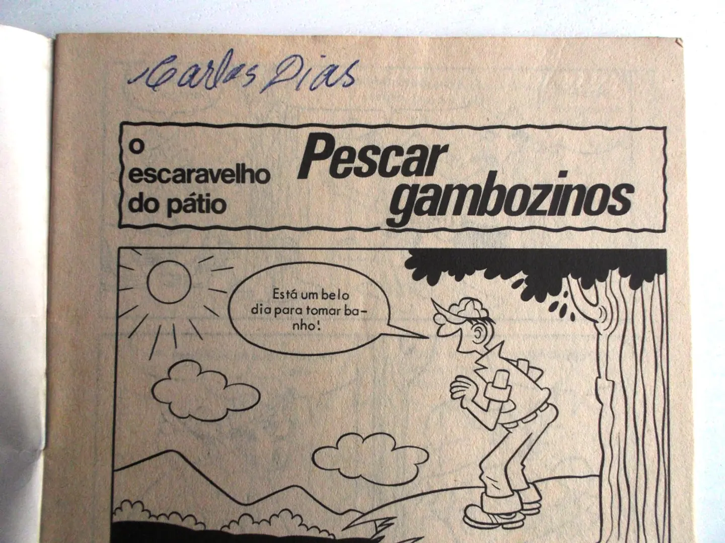 Escaravelho Azul 48 4