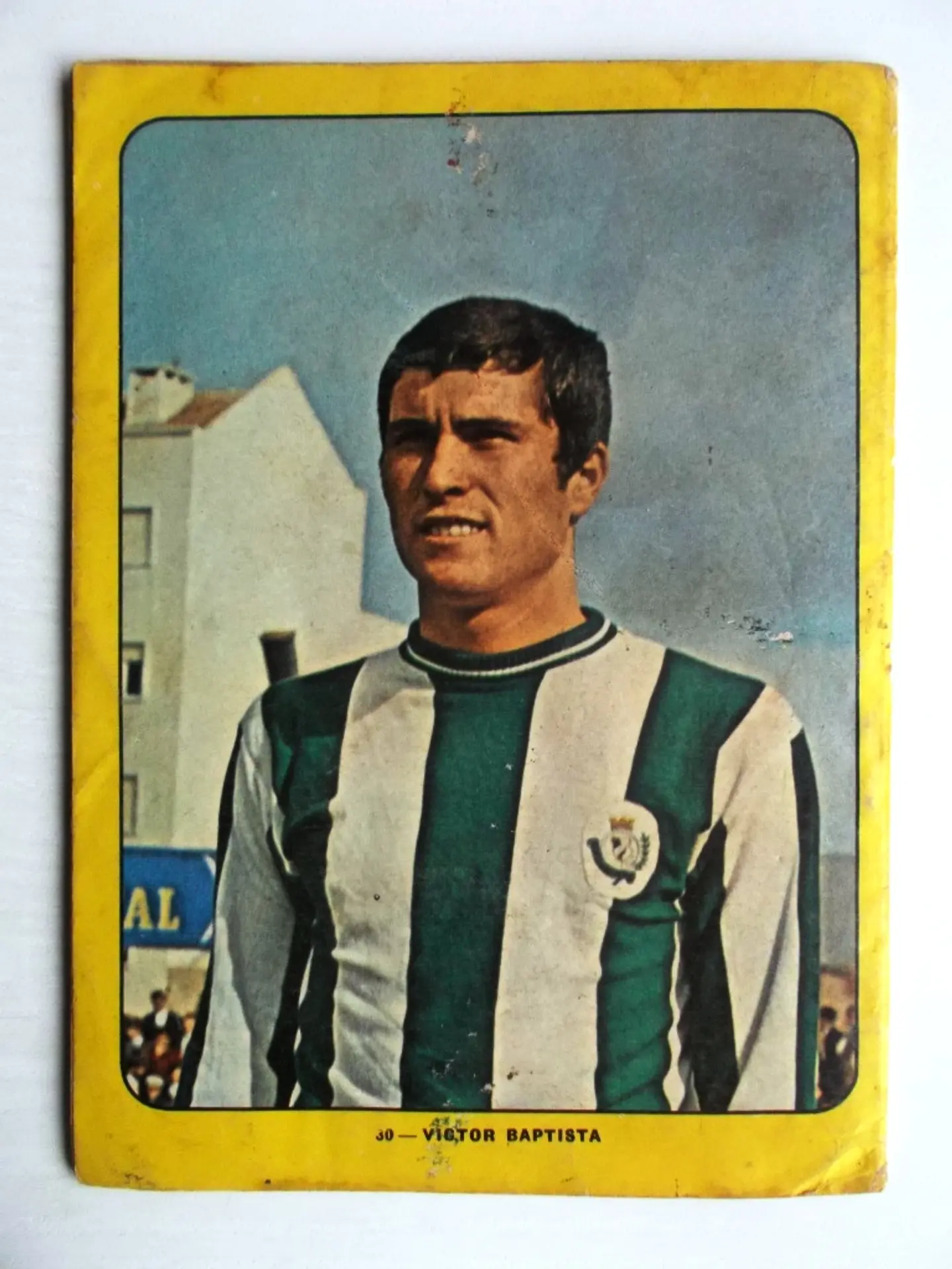 Escaravelho Azul 30 2