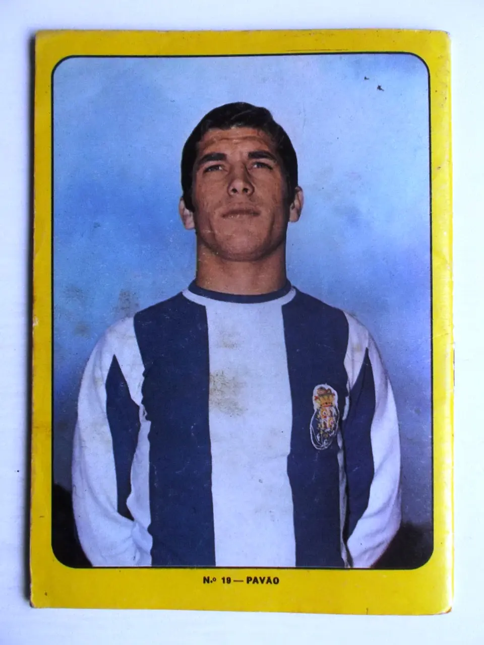 Escaravelho Azul 19 3