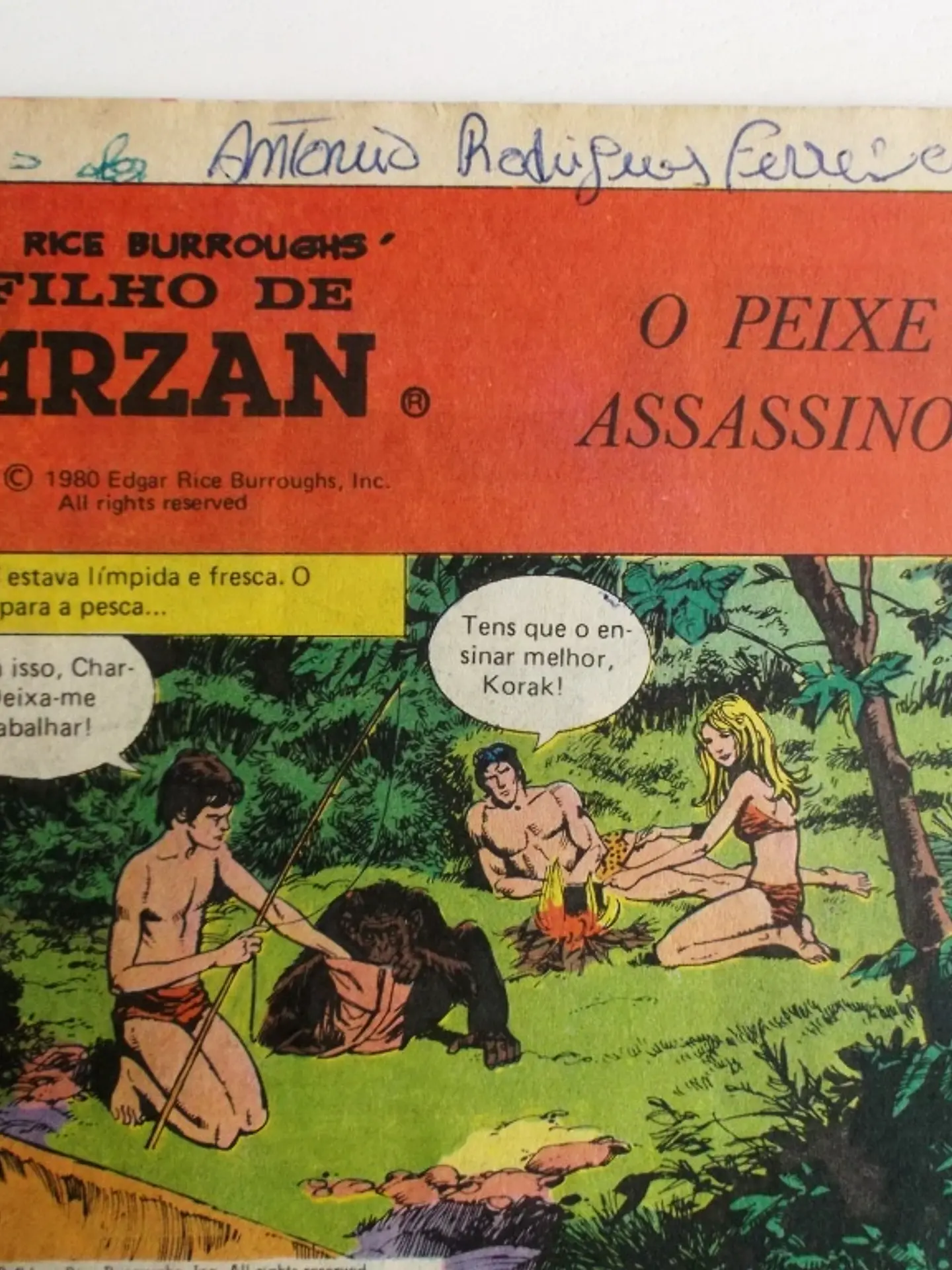 O Filho de Tarzan 08 4