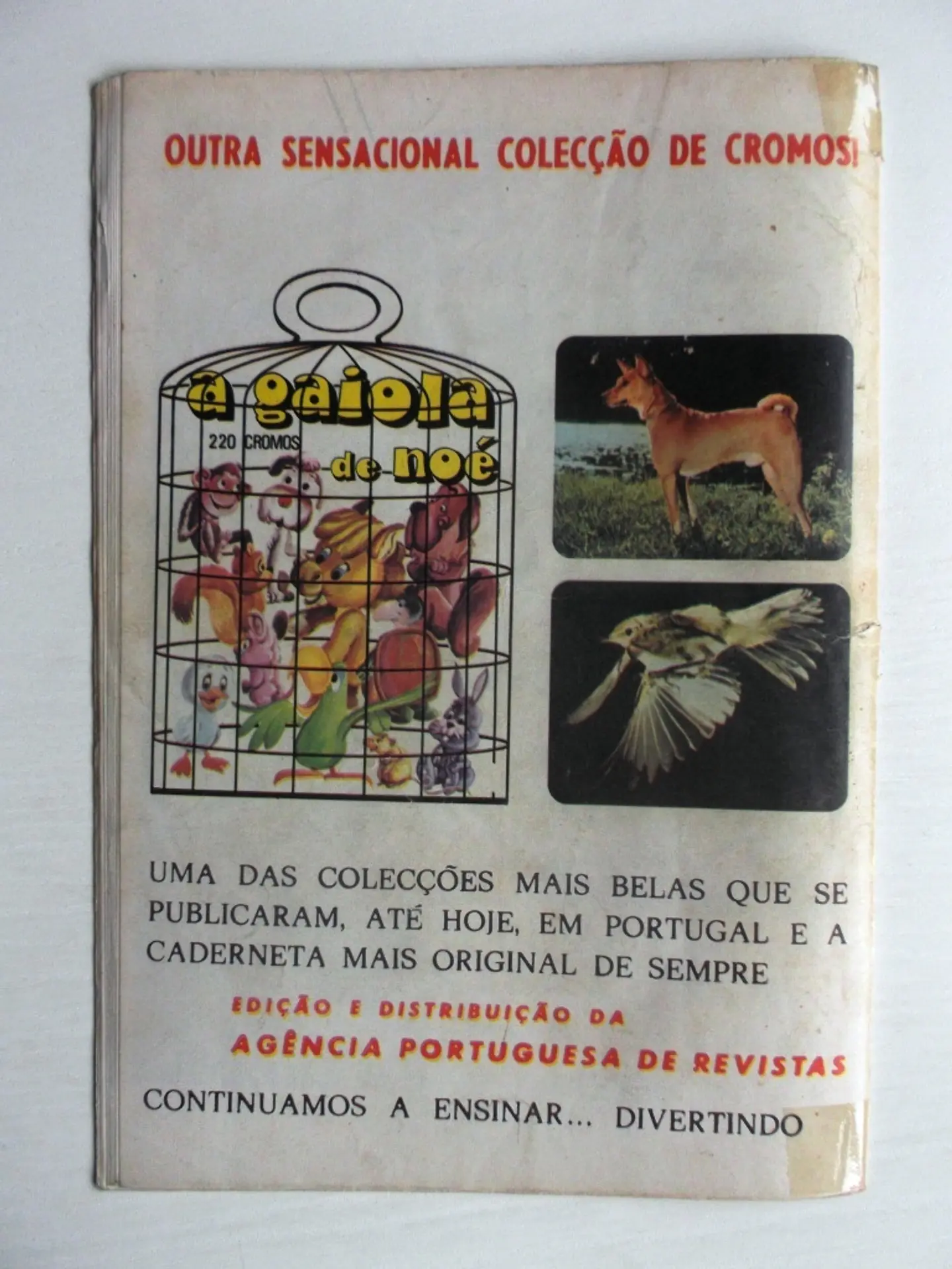 Korak 38 3