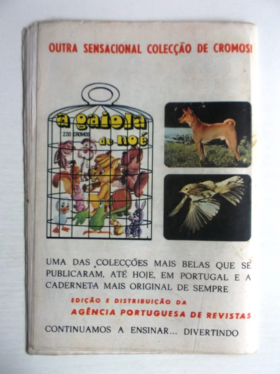 Korak 37 3