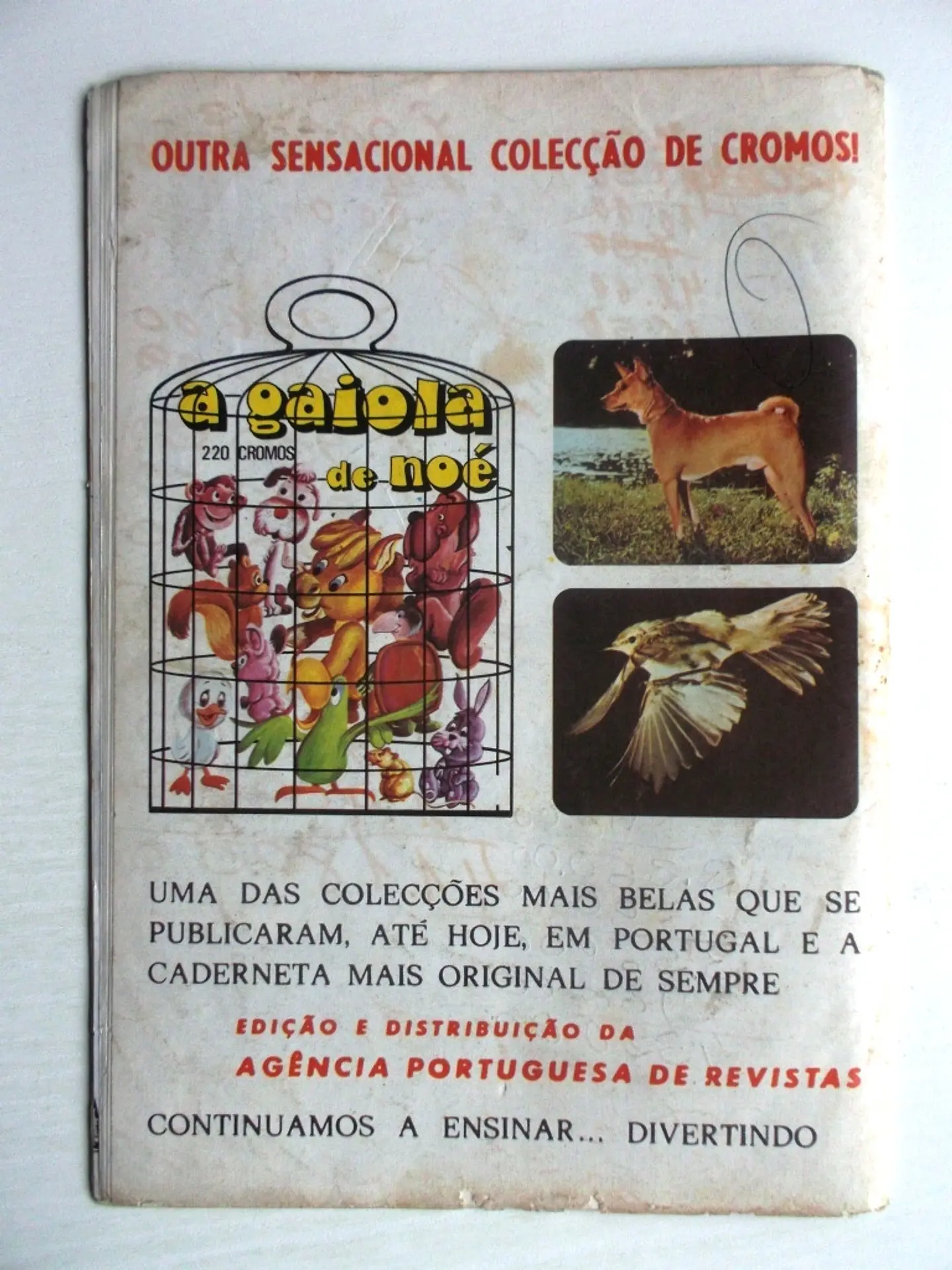 Korak 36 3