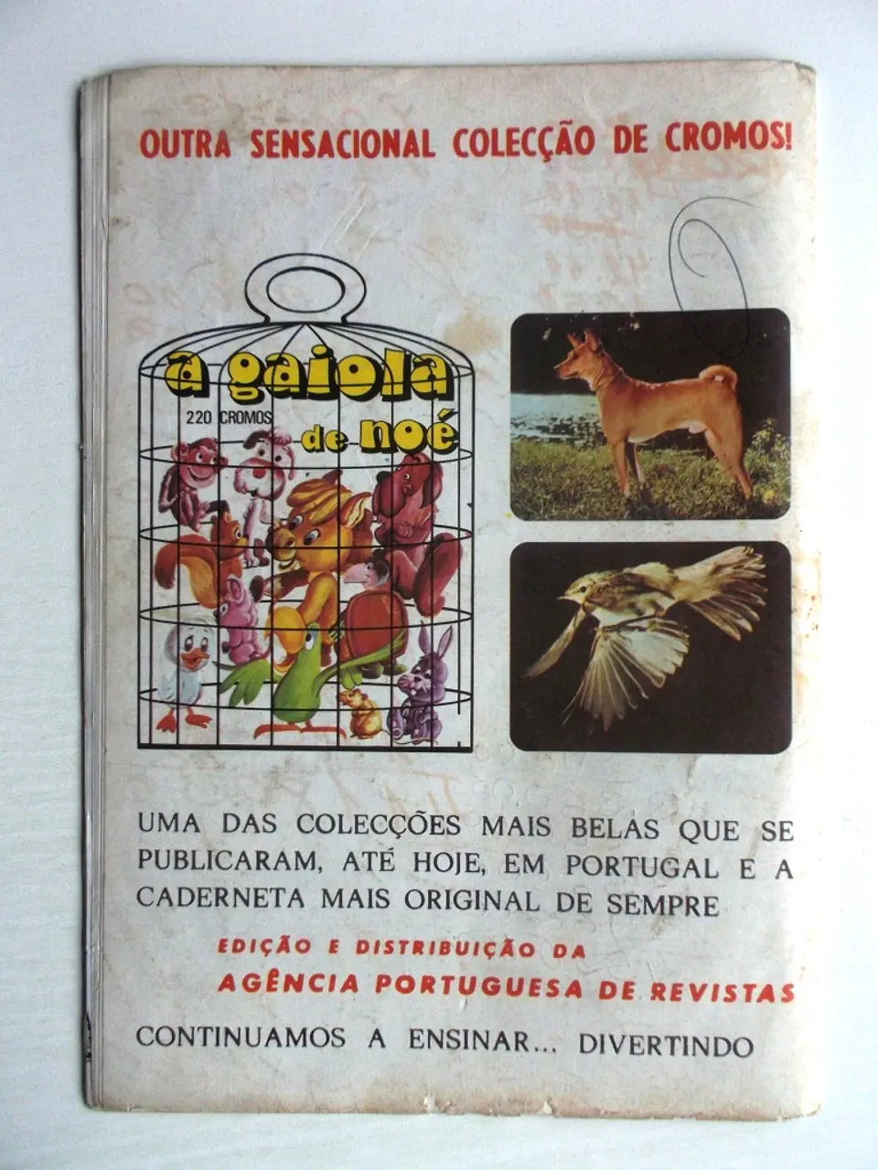 Korak 36 3