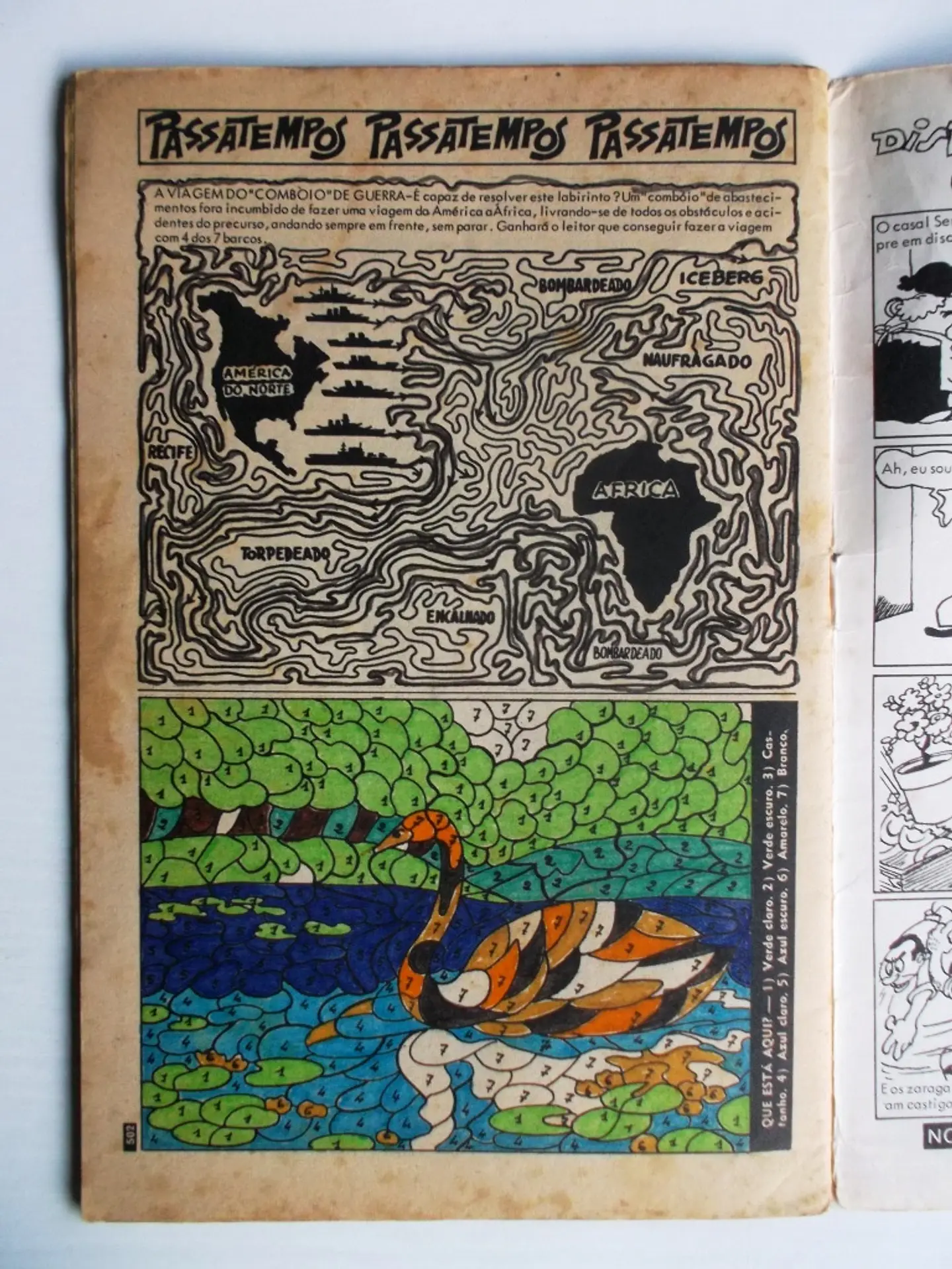 Escaravelho Azul 14 4