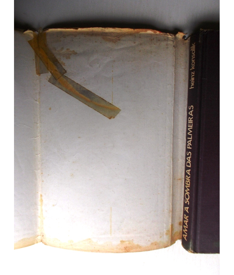 Amar à Sombra das Palmeiras - Konsalik