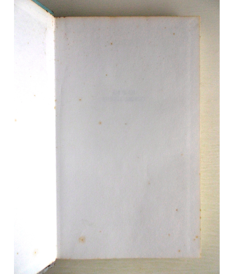 Amor em Sampetersburgo - Konsalik