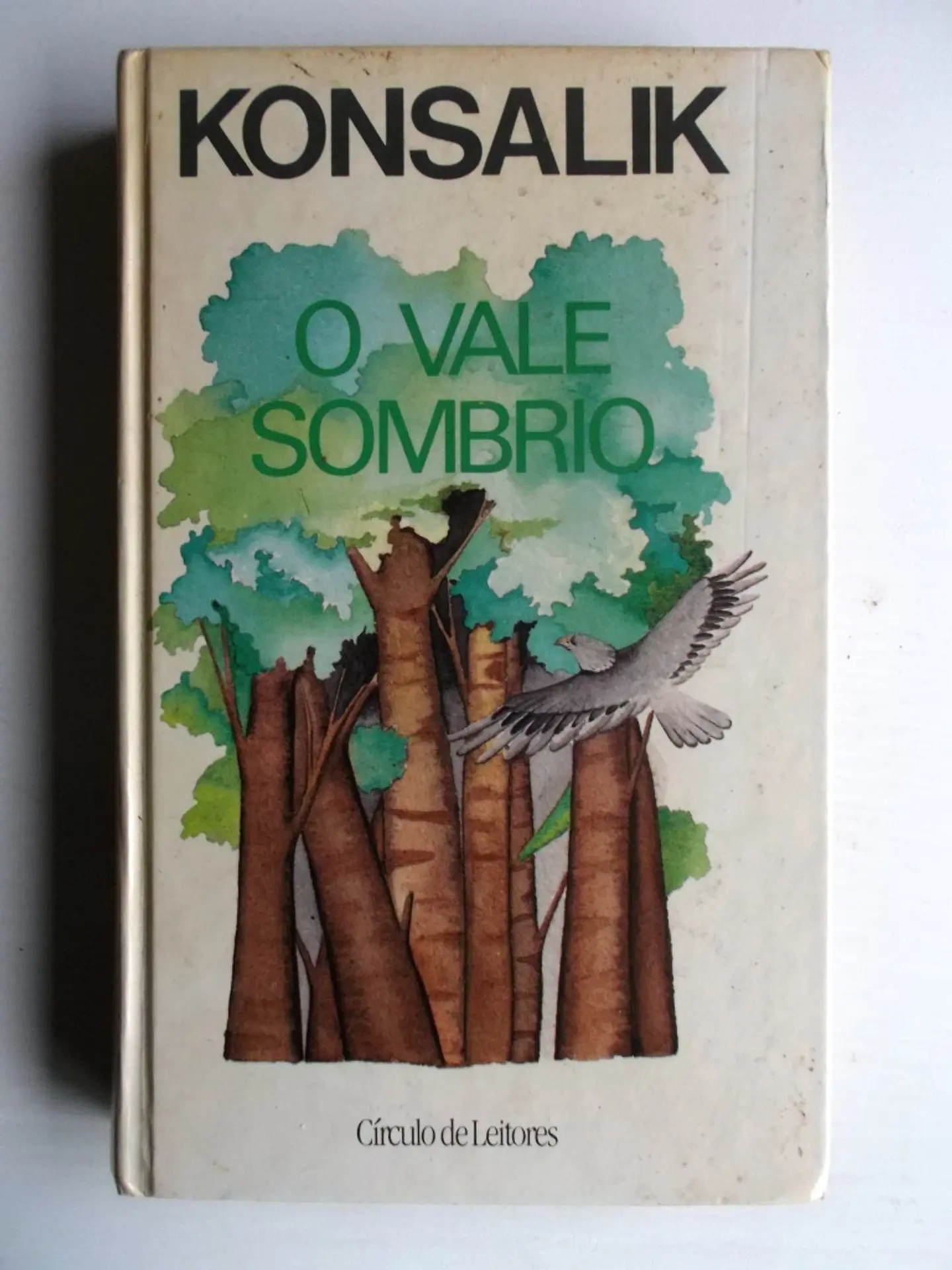 O Vale Sombrio - Konsalik 1