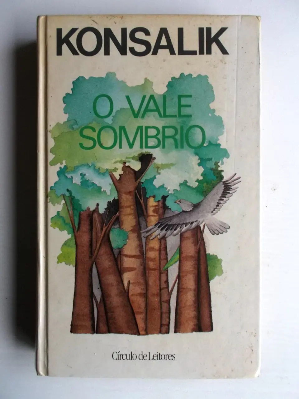 O Vale Sombrio - Konsalik 1