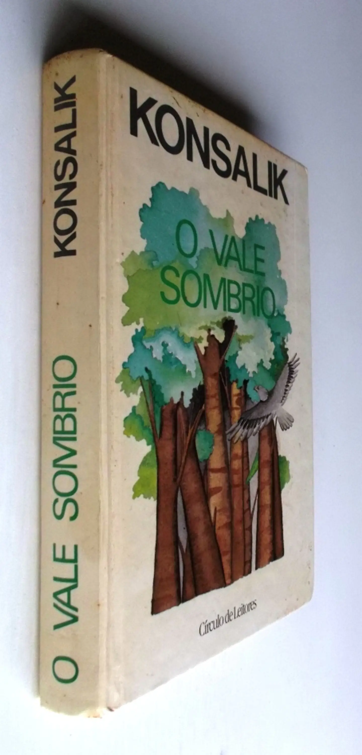 O Vale Sombrio - Konsalik 2