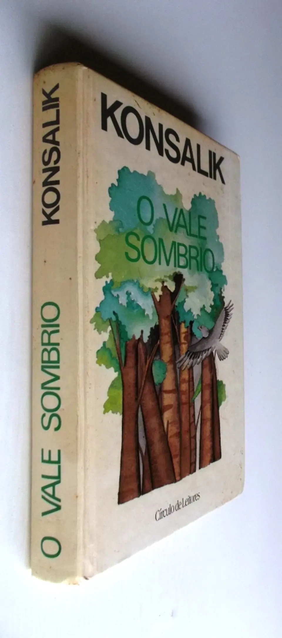 O Vale Sombrio - Konsalik 2
