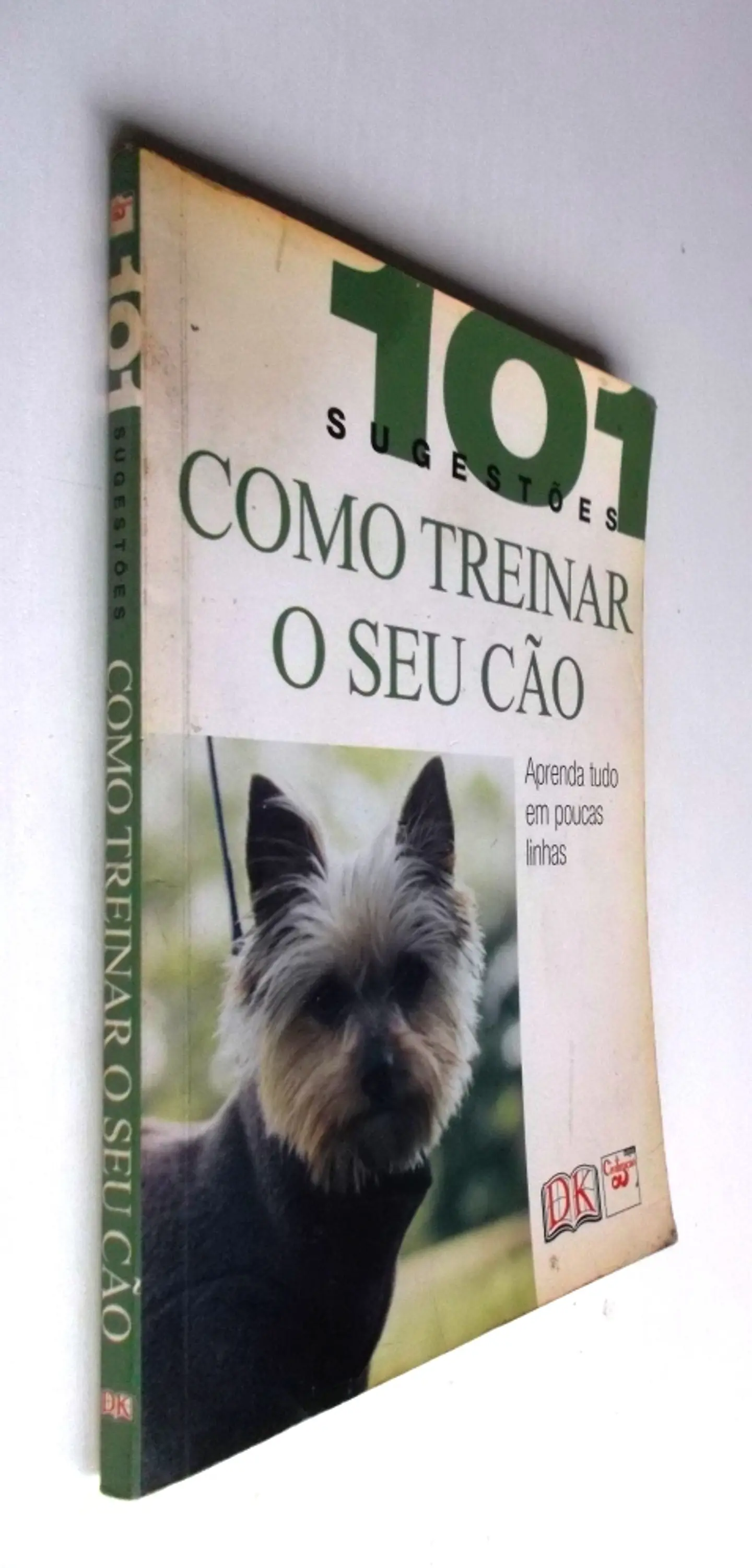 101 sugestões como treinar o se cão  3