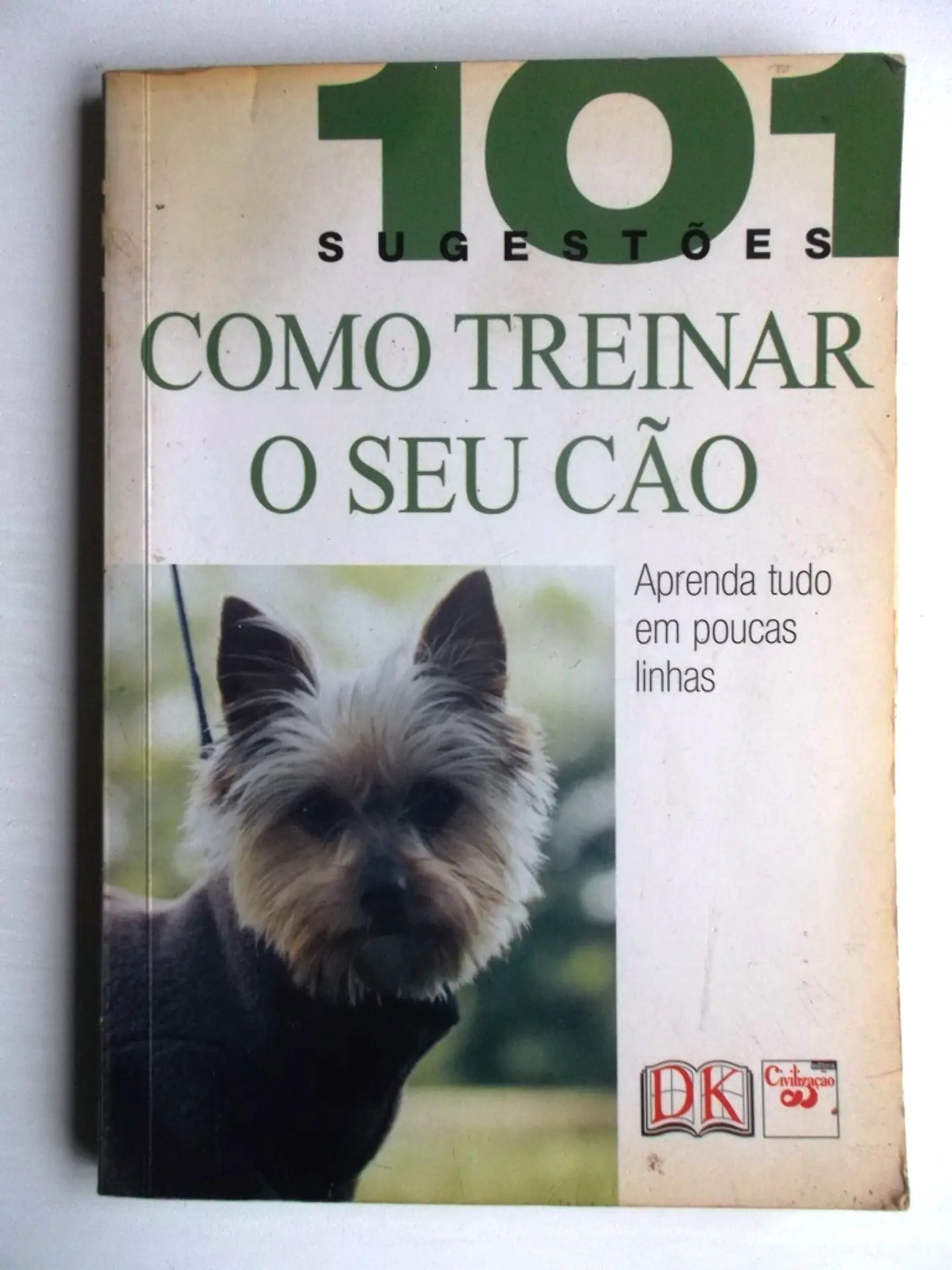 101 sugestões como treinar o se cão  1