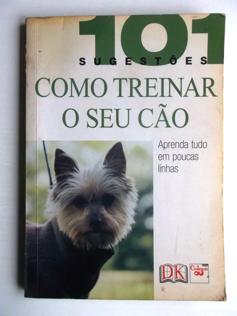 101 sugestões como treinar o se cão  1
