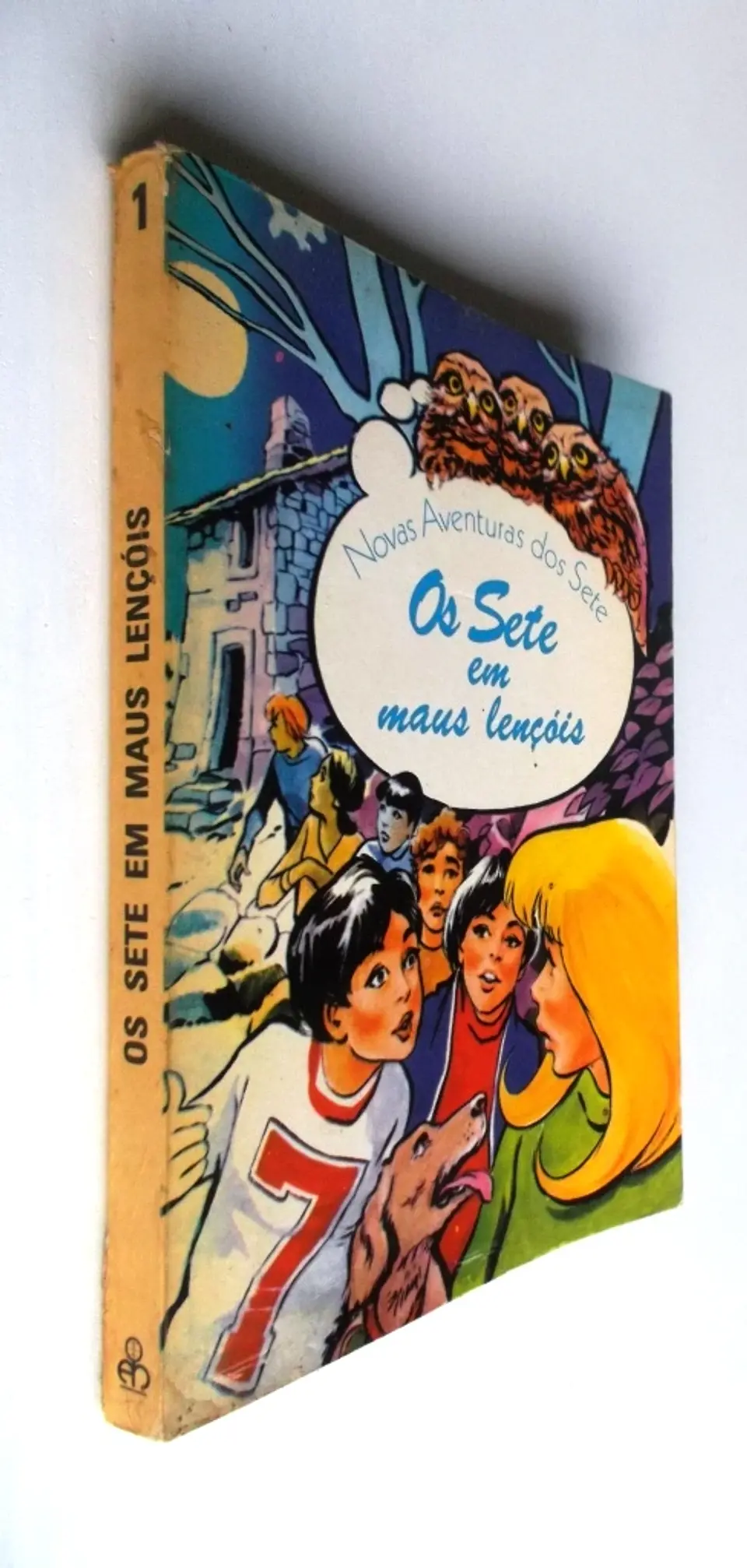 Os Sete em maus lençóis 2