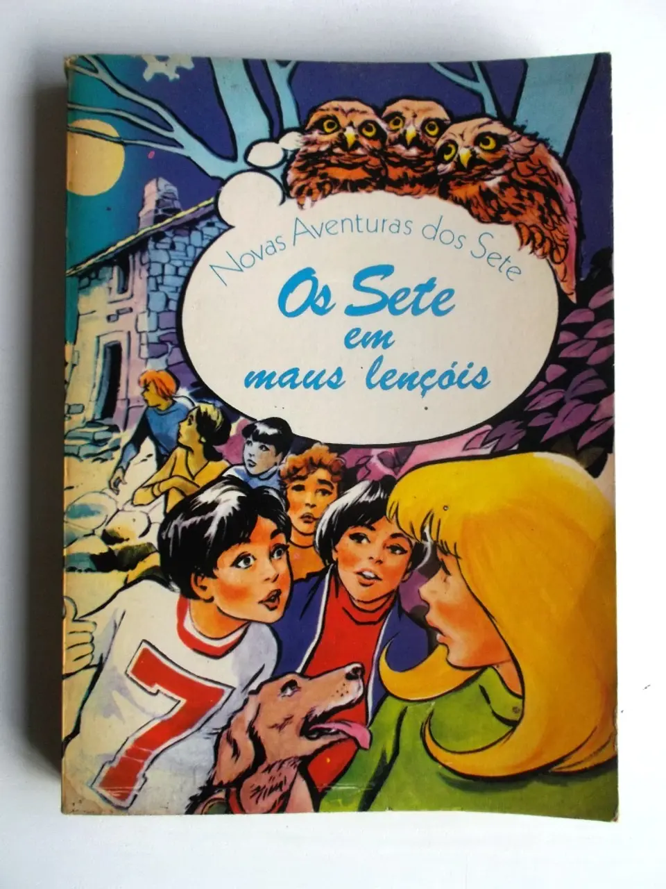 Os Sete em maus lençóis 1