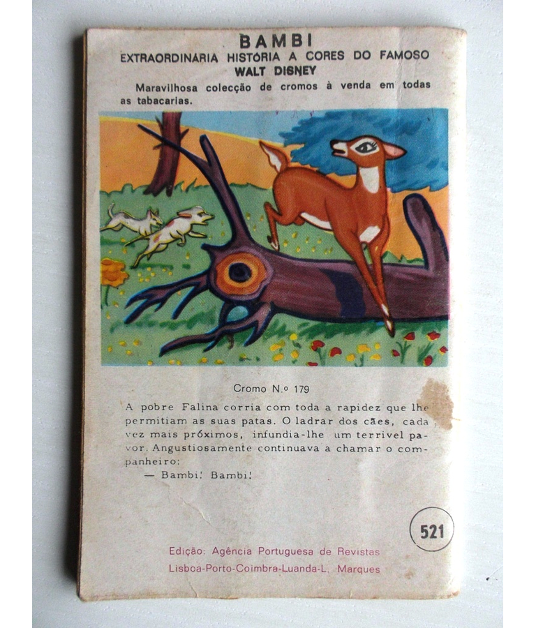 Colecção Cow-Boy 0521