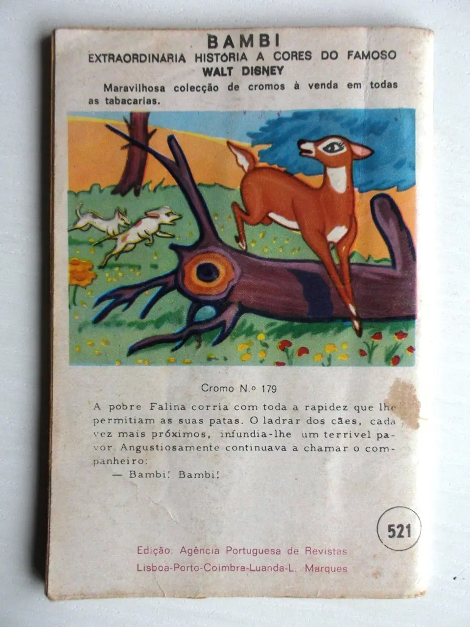 Colecção Cow-Boy 0521 3