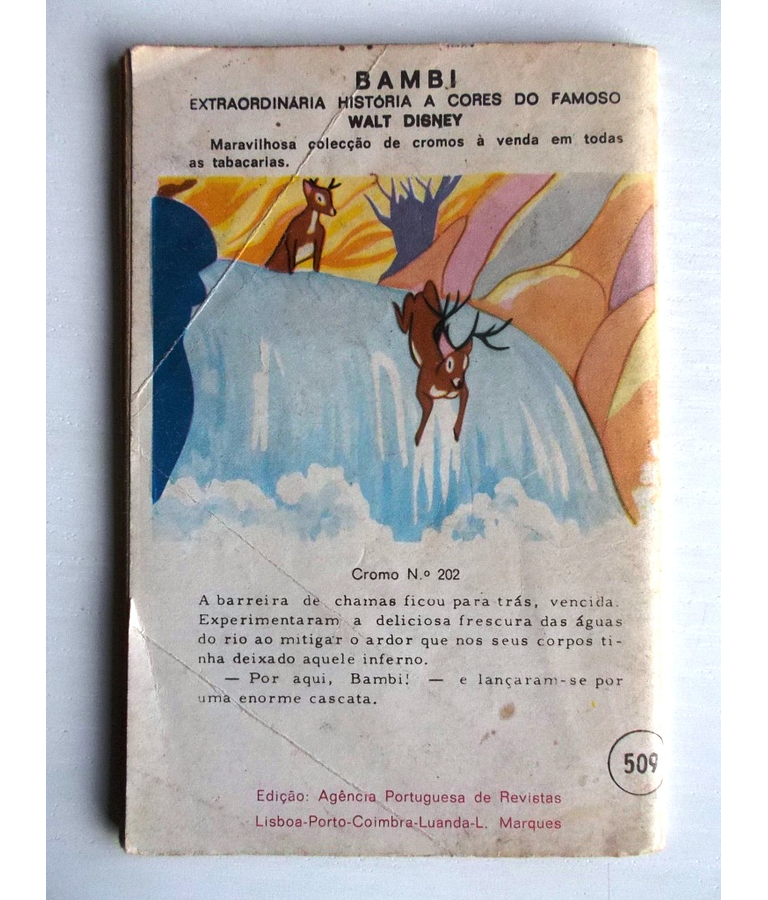 Colecção Cow-Boy 0509