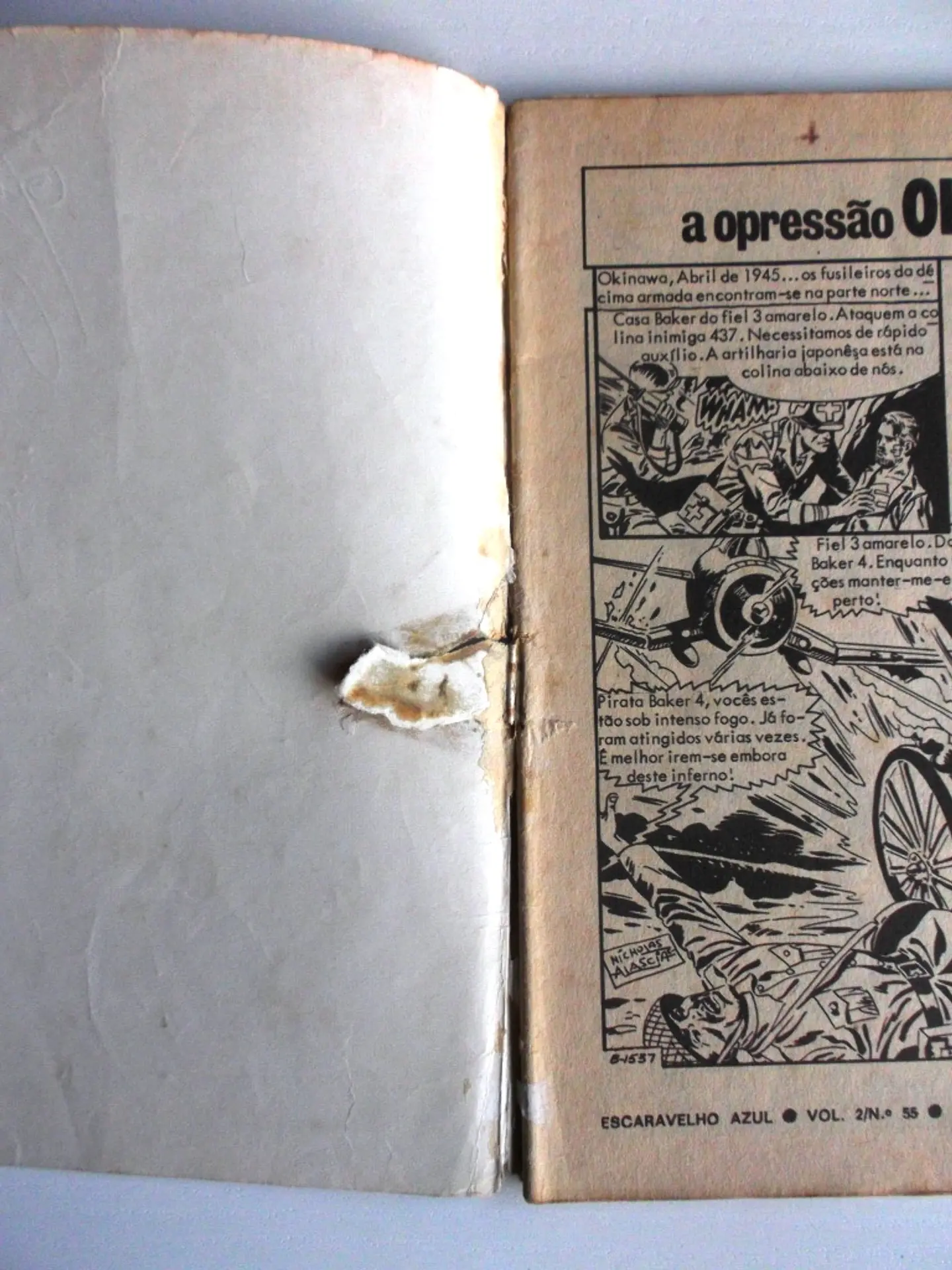 Escaravelho Azul 55 4