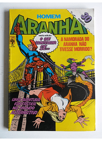 O Homem Aranha 010