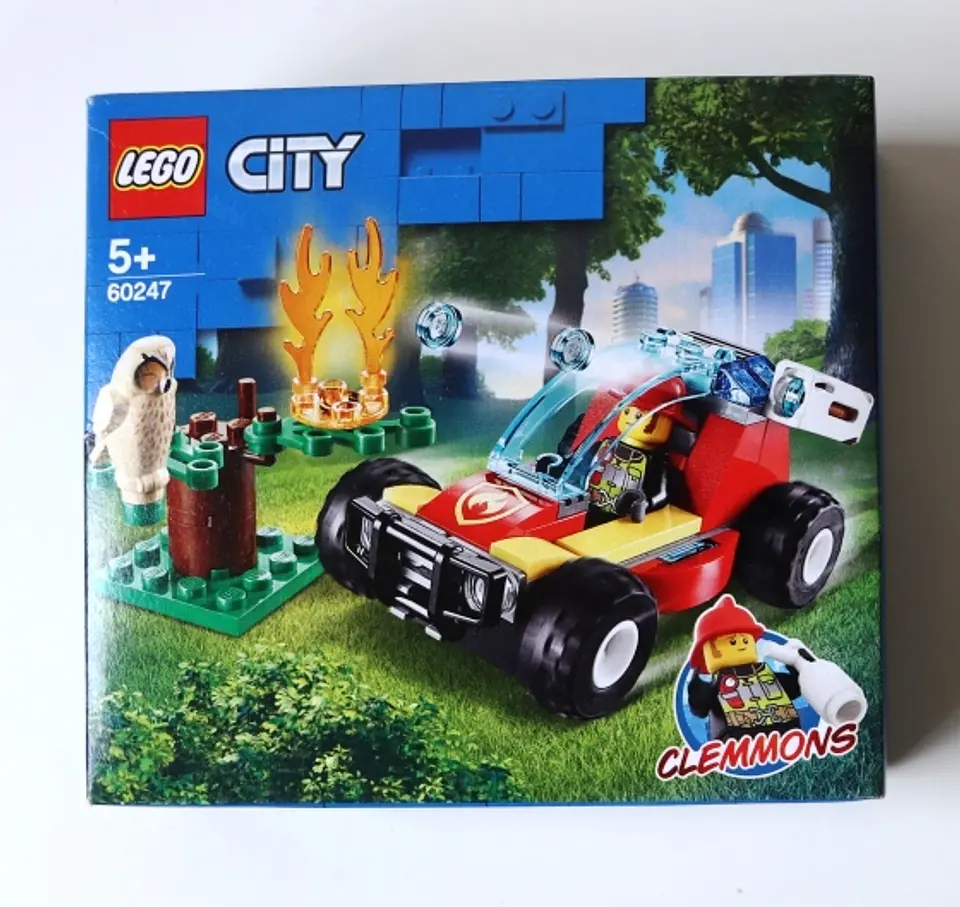 60247 Forest Fire 1