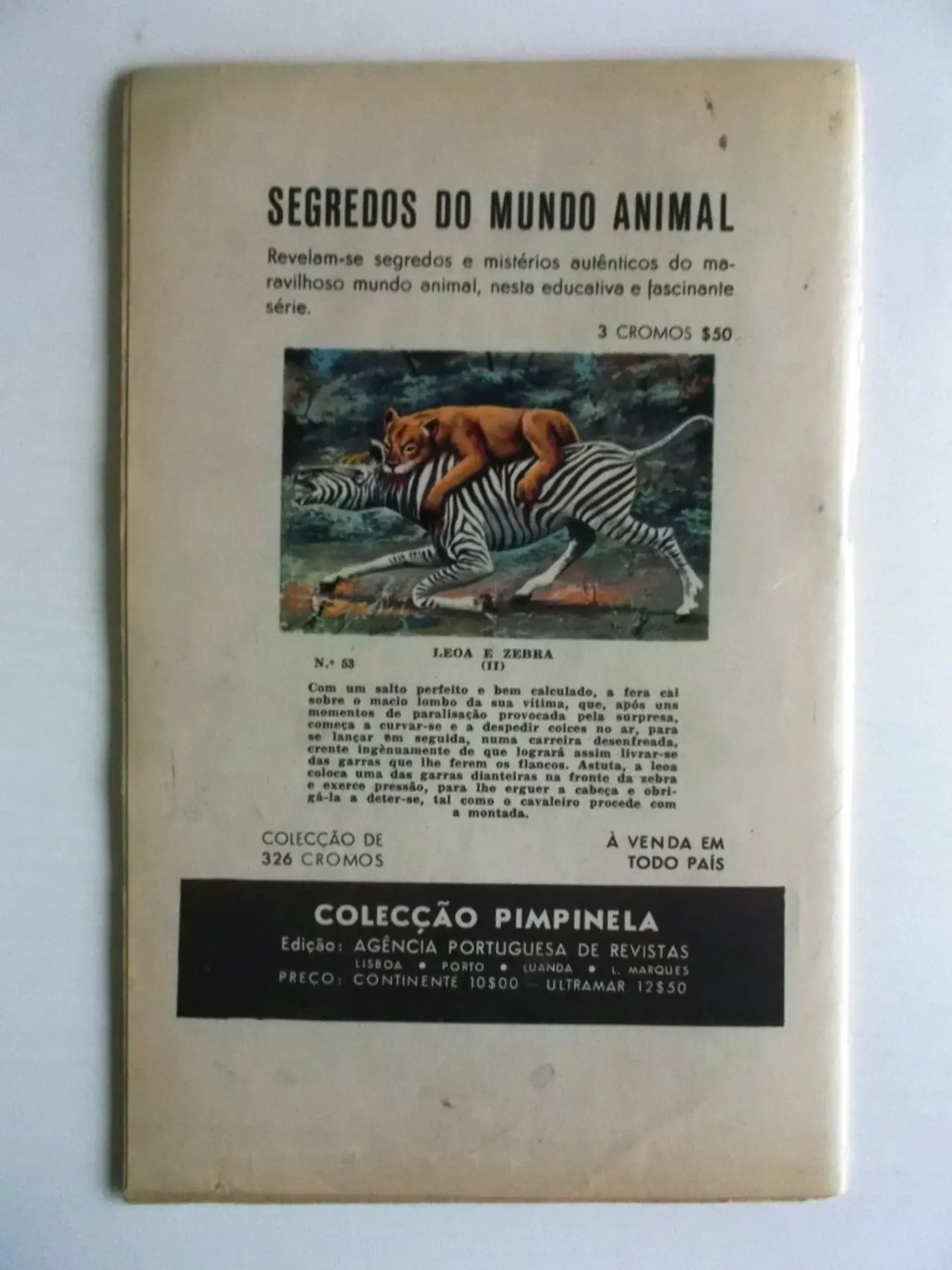 Guerra 053 3