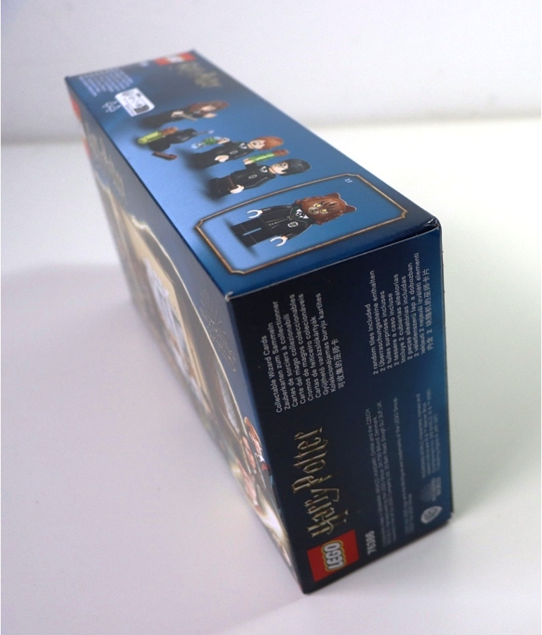 76386 Hogwarts: Polyjuice Potion Mistake