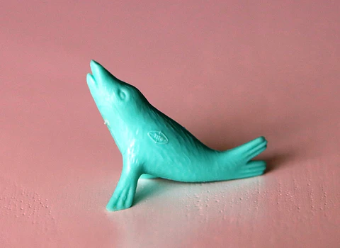 Foca 2