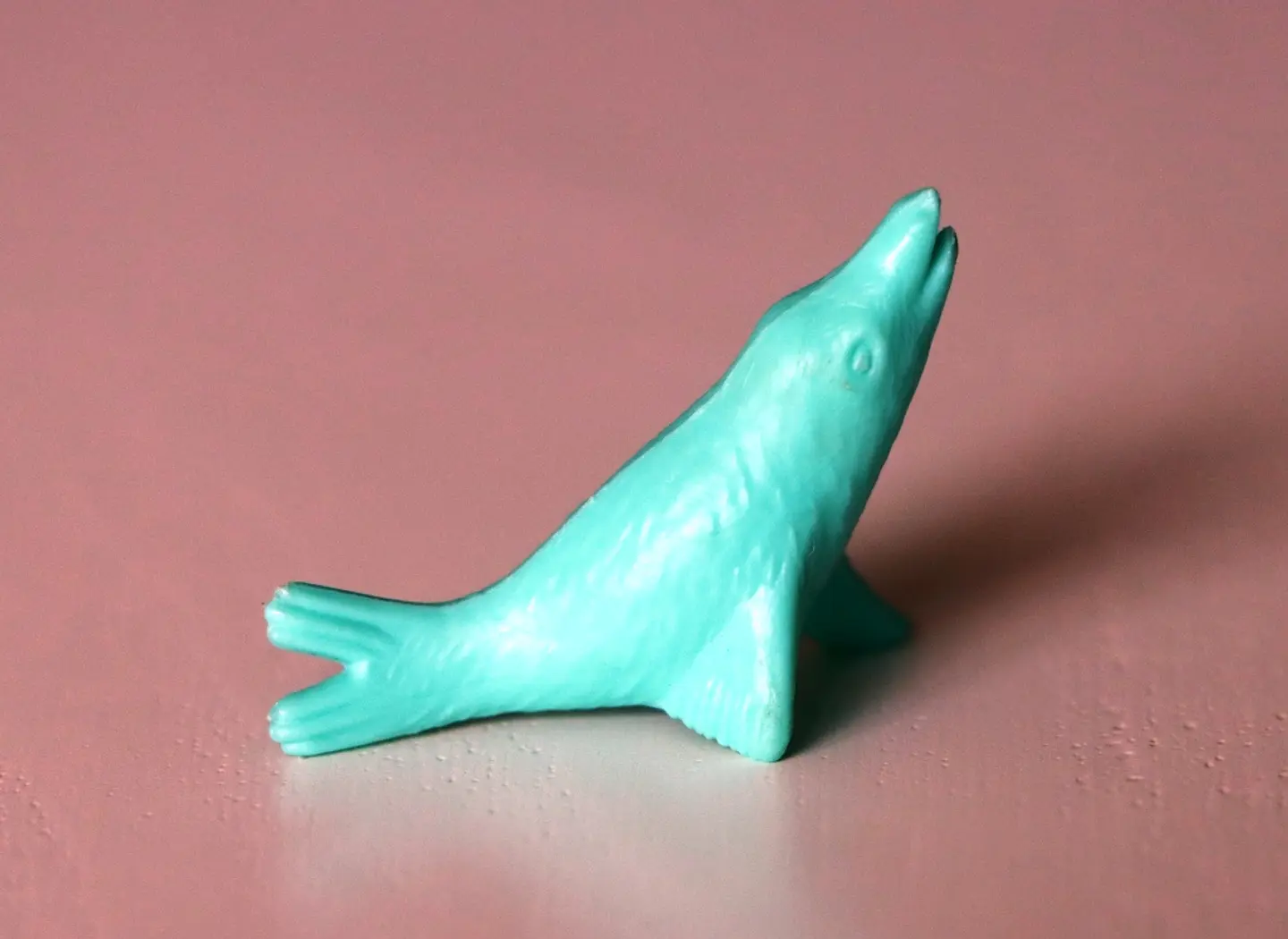 Foca 2 2